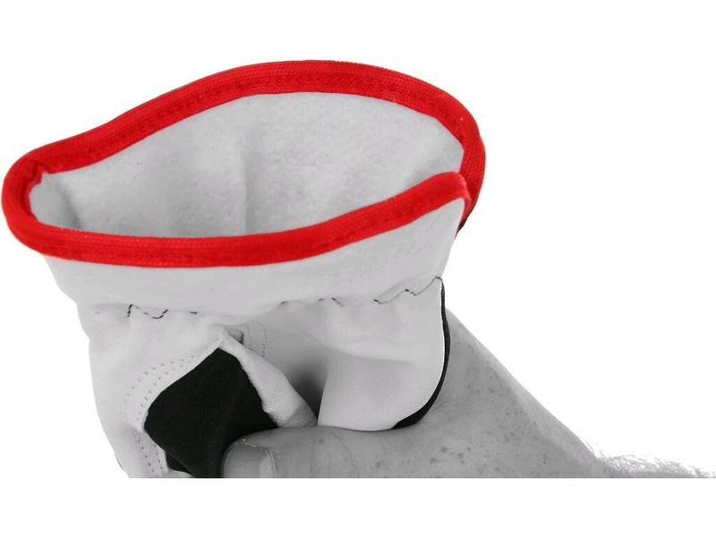 Rukavice CXS TECHNIK WINTER, s blistrom, zimné